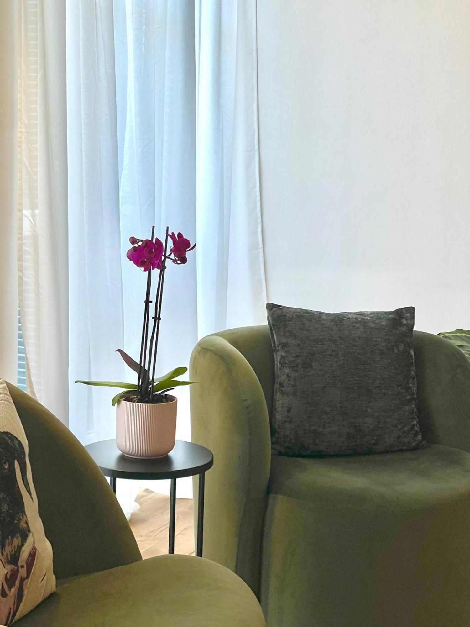 I Marmi New Royal Design Apartment リヴォルノ エクステリア 写真